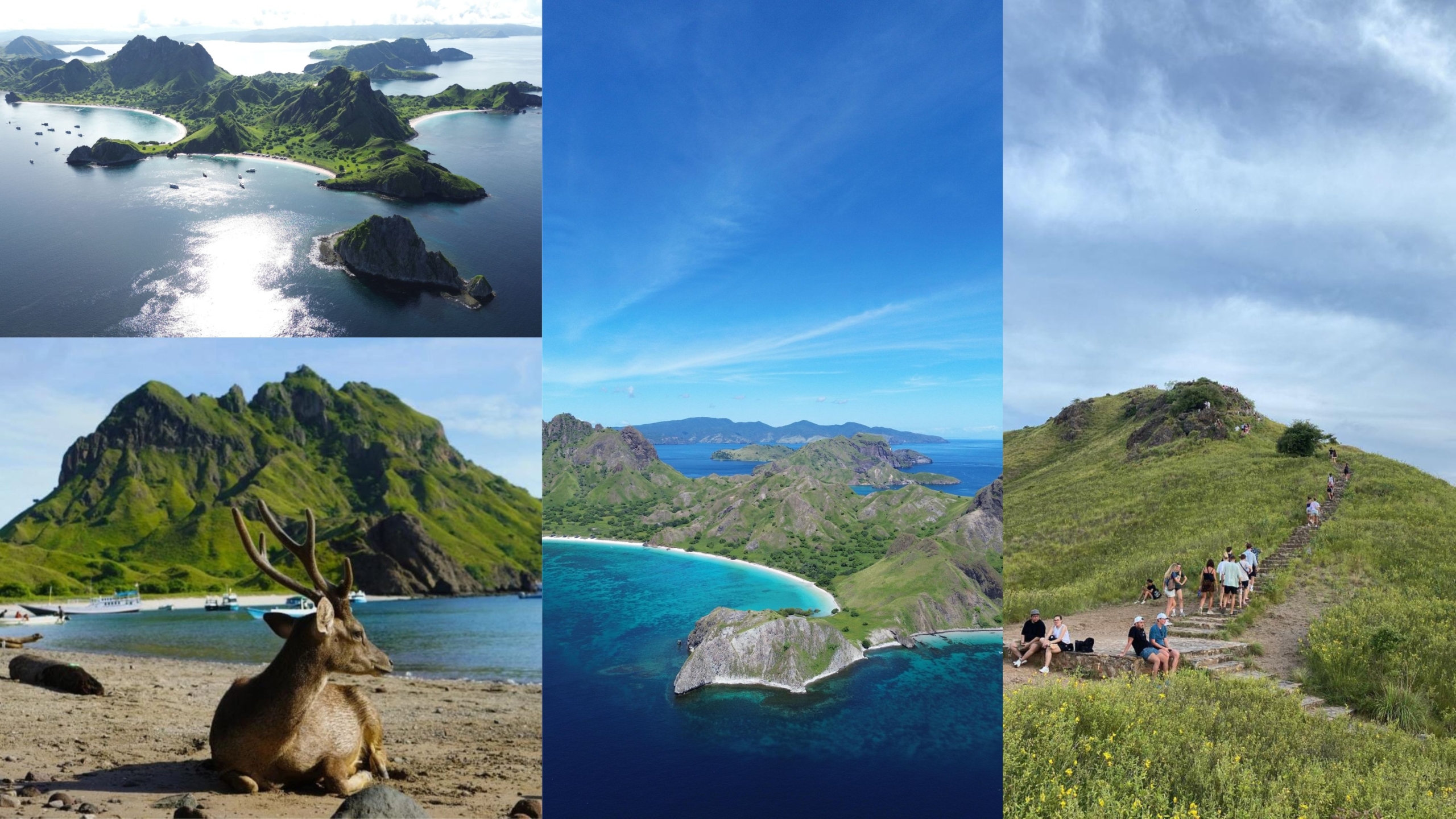 padar island